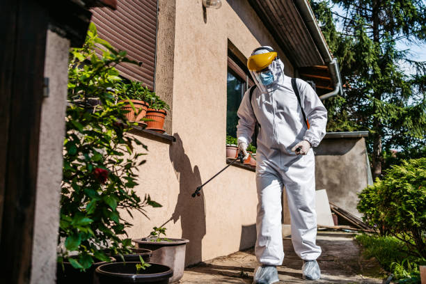 Best Pest Inspection Near Me  in Julesburg, CO