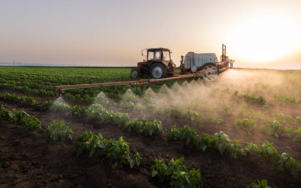 Best Affordable Pest Control Services  in Julesburg, CO