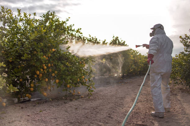 Best Cockroach Control Services  in Julesburg, CO