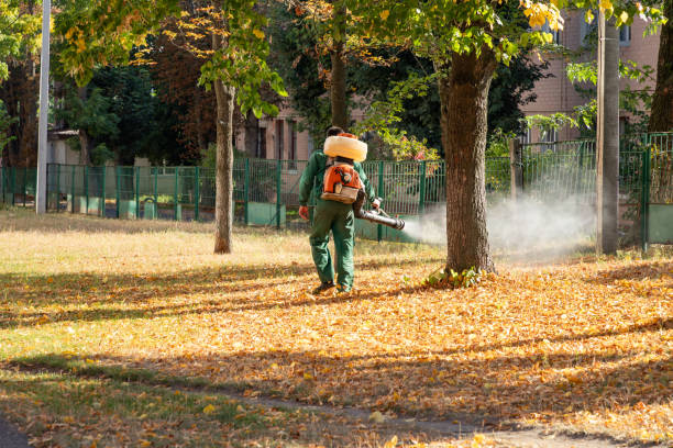 Flea Control Services in Julesburg, CO