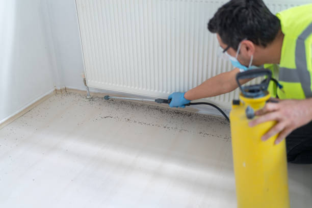 Best Emergency Pest Control  in Julesburg, CO