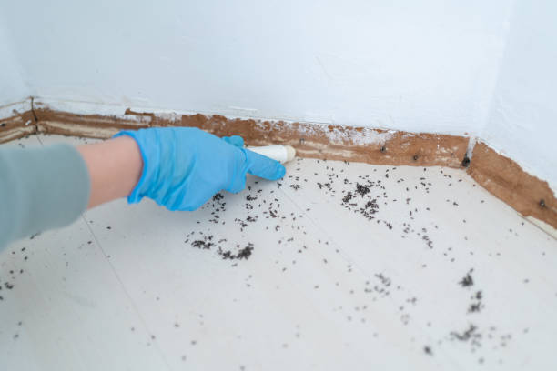 Best Pest Prevention Services  in Julesburg, CO