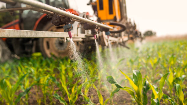 Wasp Removal Services in Julesburg, CO